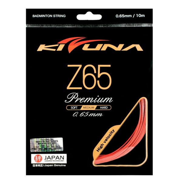 Kizuna Z65 Premium Gauge